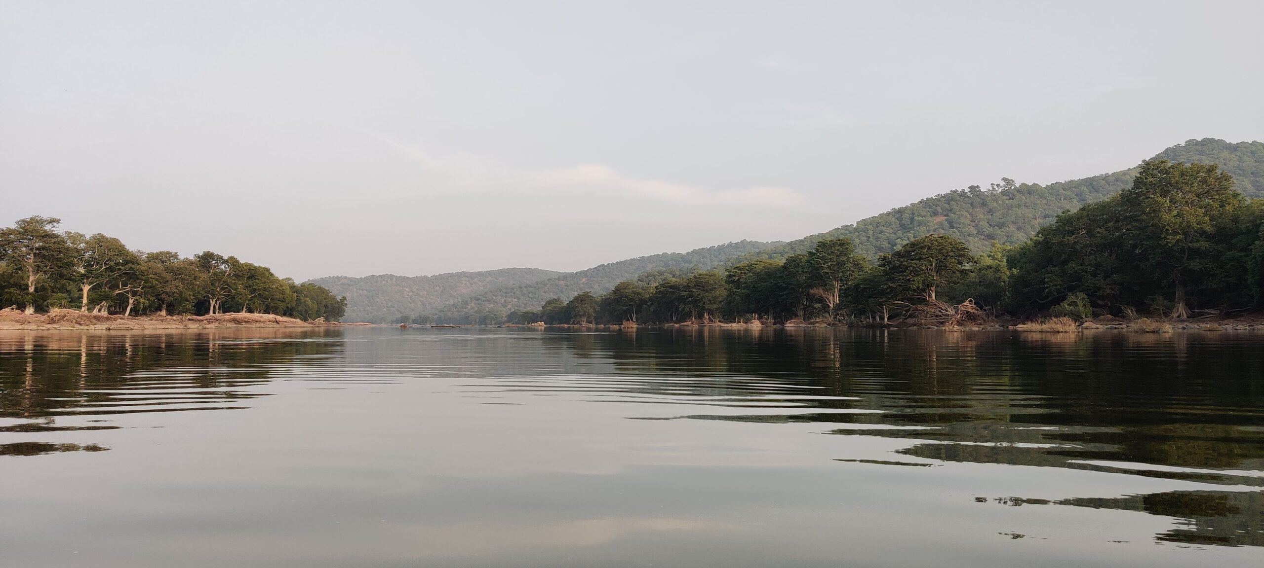 Galibore Nature Camp by Jungle Lodges & Resorts (JLR): A Hidden Gem Near Bangalore